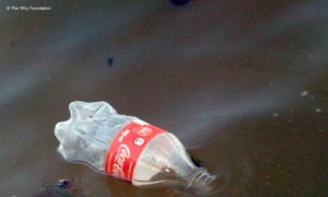 Plastikflasche im Wasser