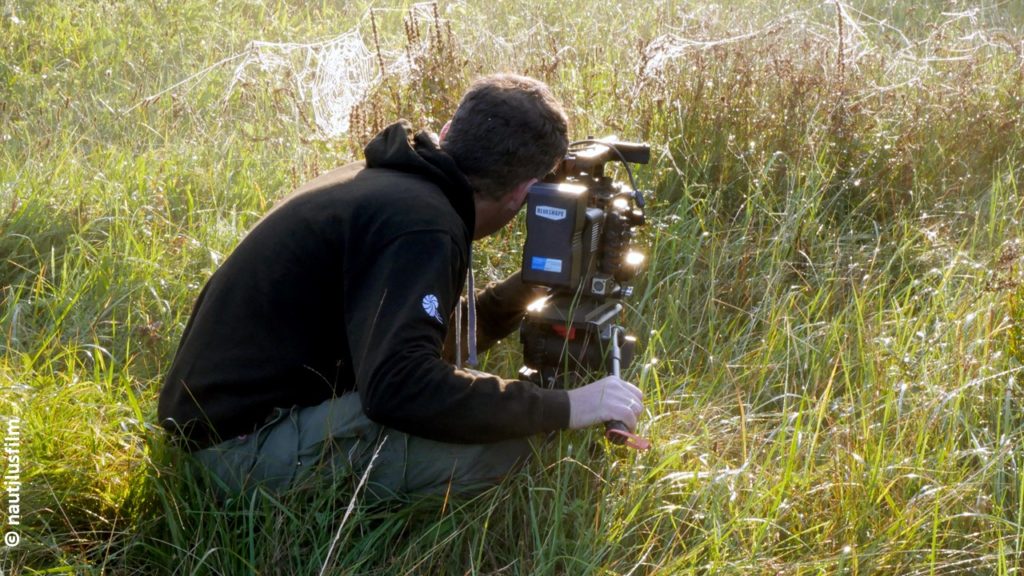 Filmstill aus "Die Wiese": Bild eines Fotografen in einer Wiese mit hohen Gräsern