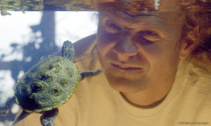 Turtle Hero - Ein Leben für die Schildkröten: Mann vor einem Aqarium mit Schildkröte