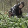 Filmstill Stills aus „Von Pflanzen und Menschen“